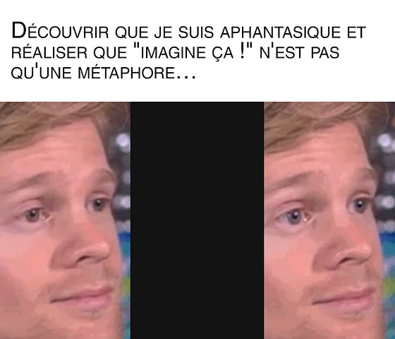 meme sur l'aphantasie